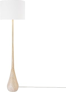 Globe Electric 65