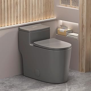 WinZo Comfort One Piece Toilet 17.25 inches Tall Elongated Bowl for Modern Bathroom 12-inch Rough in,Matte Grey