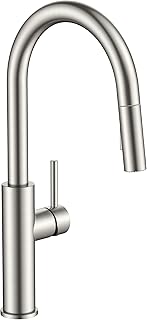 FORIOUS Kitchen Faucet with Pull Down Sprayer, Classic Brushed Nickel, Single Handle High Arc Stainless Steel Kitchen Sink Faucet, 1 or 3 Hole Deck Mount for RV, Bar, Farmhouse, Laundry, Outdoor