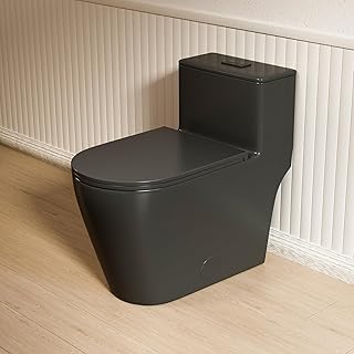 Casta Diva Elongated One Piece Toilet Black with 17